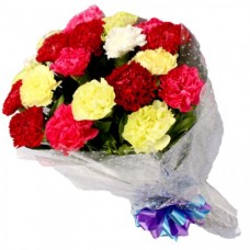 Mix Carnation Hand Bouquet